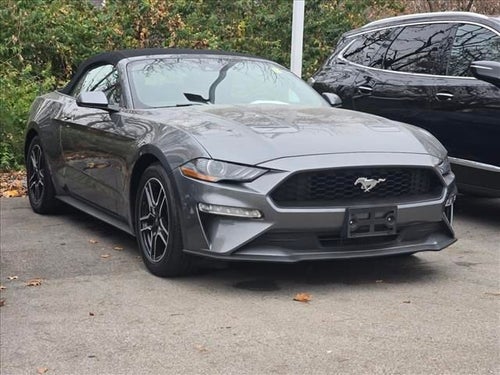 2023 Ford Mustang EcoBoost