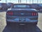 2023 Ford Mustang EcoBoost