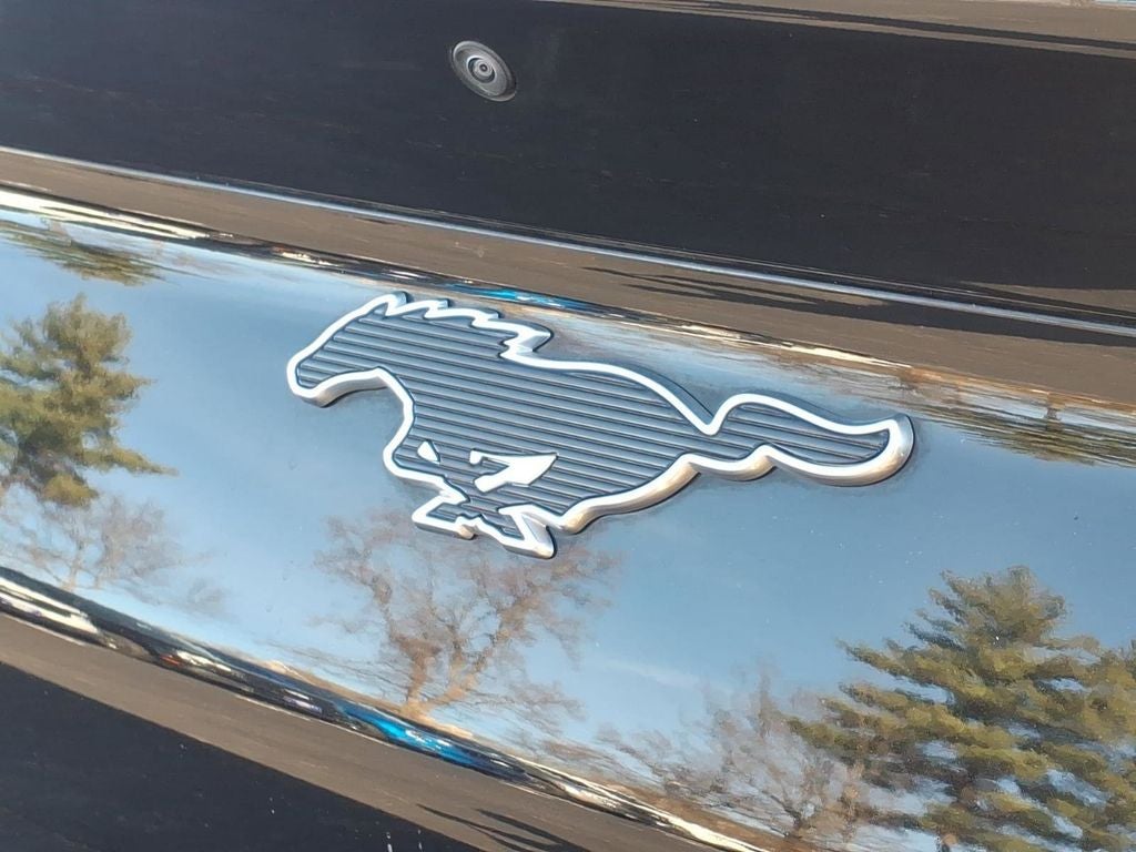 2023 Ford Mustang Mach-E Select