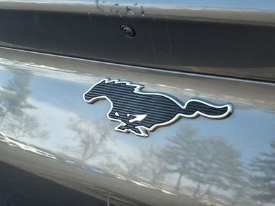 2023 Ford Mustang Mach-E Select
