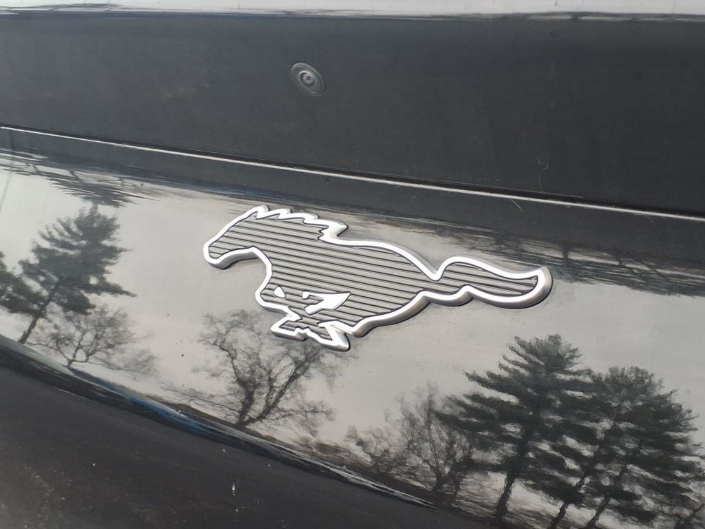 2023 Ford Mustang Mach-E Select